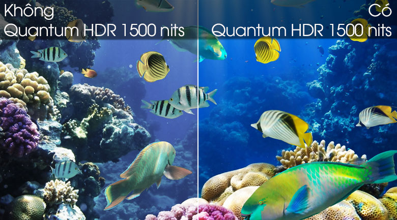 So sánh công nghệ Quantum HDR và không Quantum HDR - Smart Tivi QLED Samsung 4K 55 inch QA55Q80T