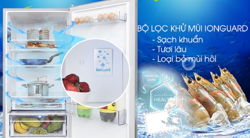 Đánh bay mùi hôi, vi khuẩn với công nghệ Longuard - Tủ lạnh Beko Inverter 375 lít RCNT375E50VZX