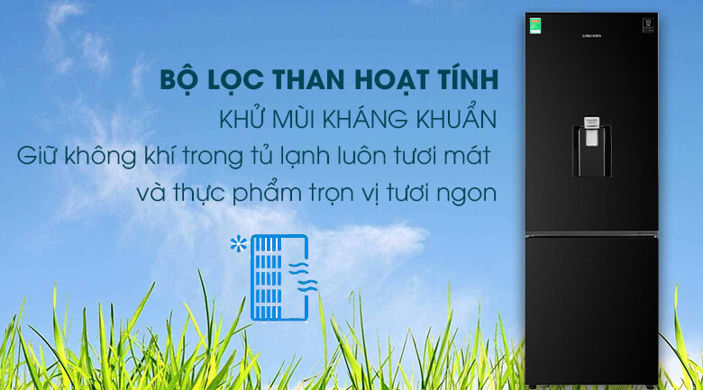 Tủ lạnh Samsung Inverter RB30N4170BU 307 lít  bộ lọc than hoạt tính