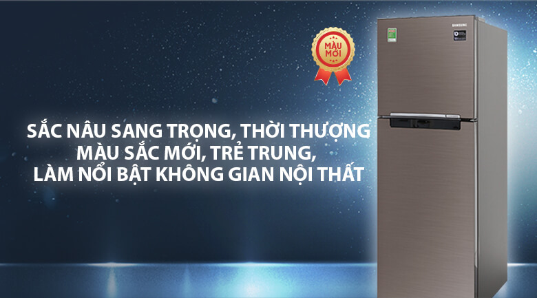 Thiết kế tủ lạnh - Tủ lạnh Samsung 236 lít Inverter RT22M4032DX/SV