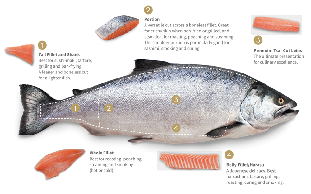 Cá Hồi Nauy Fillet Tươi (Fresh Salmon Fillet) – Tổng kho thực phẩm Yugo