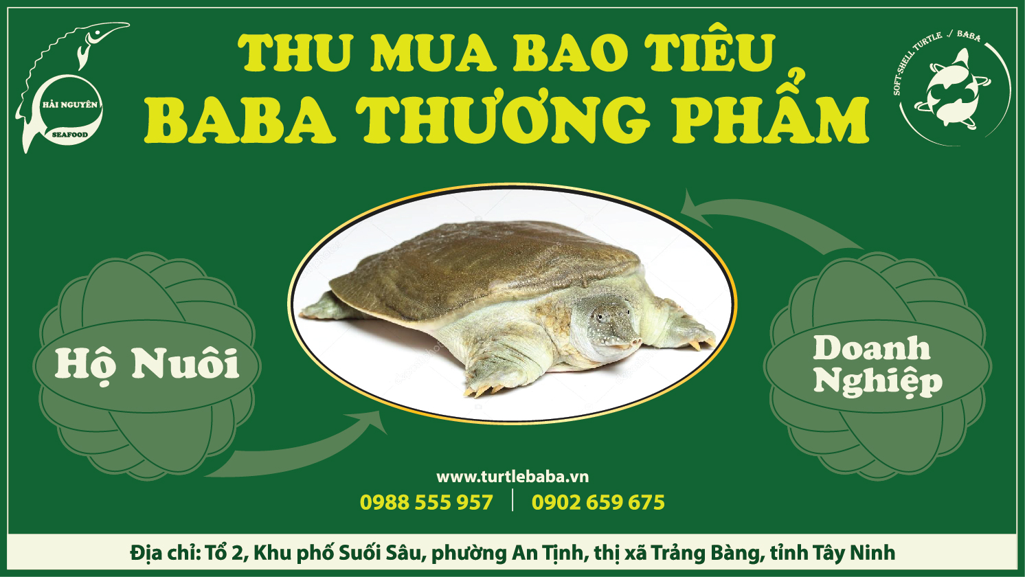 Thu Mua Bao Tiêu BaBa Số Lượng Lớn Khu Vực Miền Nam.