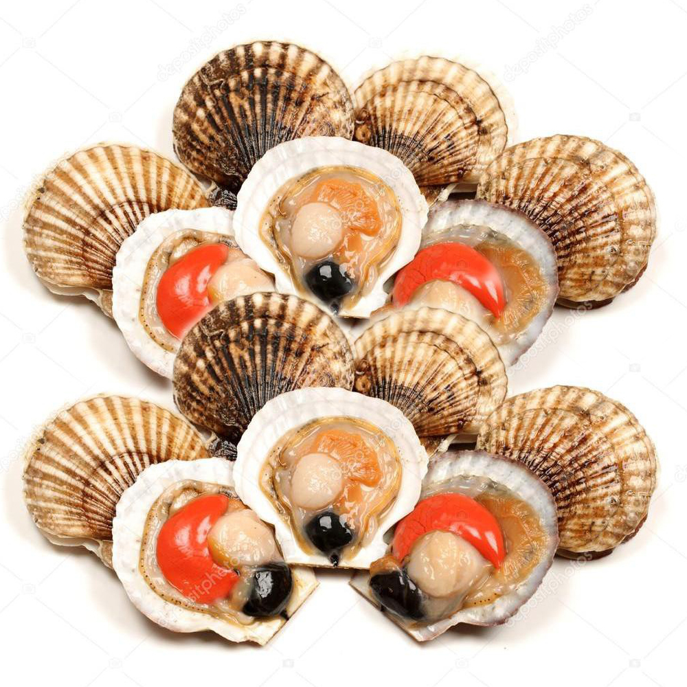 Vận chuyển sò điệp tách vỏ đông lạnh Quảng Ninh đi TP.HCM