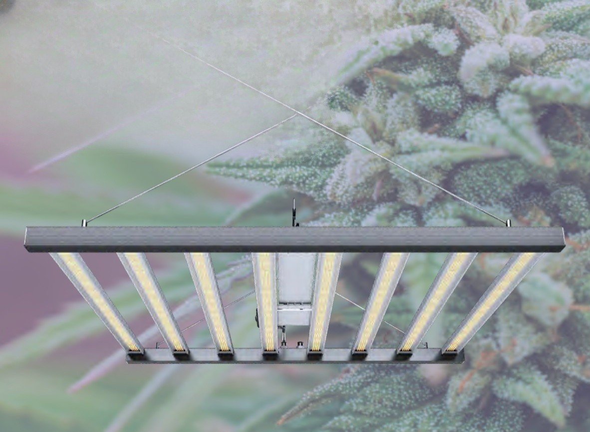 Đèn LED Trồng Cây HBL