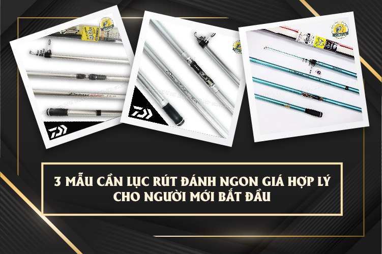 3 Mẫu Cần Lục Rút Đánh Ngon Giá Hợp Lý Cho Người Mới Bắt Đầu