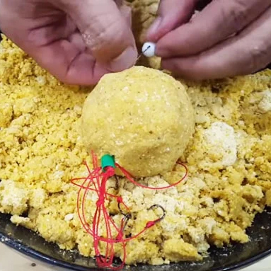 Bật Mí Cách Làm Mồi Ngâm Lăng Xê “Săn Chép” Của Cao Thủ Bật Mí Cách Làm Mồi Ngâm Lăng Xê “Săn Chép” Của Cao Thủ