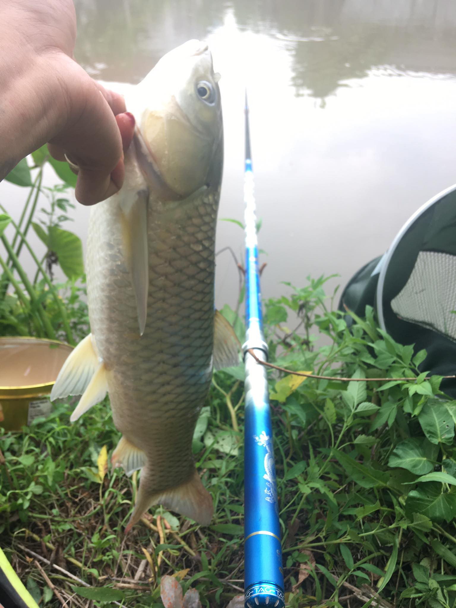 Cần tay Guide Nhất Long F2 5H 19i | TAG Fishing Việt Nam | Phân Phối Dụng Cụ Câu Cá Thể Thao Chính Hãng Tại Việt Nam Cần Tay Guide Nhất Long F2 5H 19I | Tag Fishing Việt Nam | Phân Phối Dụng Cụ Câu Cá Thể Thao Chính Hãng Tại Việt Nam