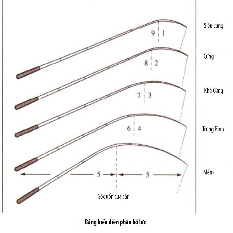 ĐỘ CỨNG CẦN CÂU TAY? HIỂU THẾ NÀO CHO ĐÚNG? Đồ Câu Khánh Râu | Cần Câu, Máy Câu, Phụ Kiện Câu Cá Chính Hãng