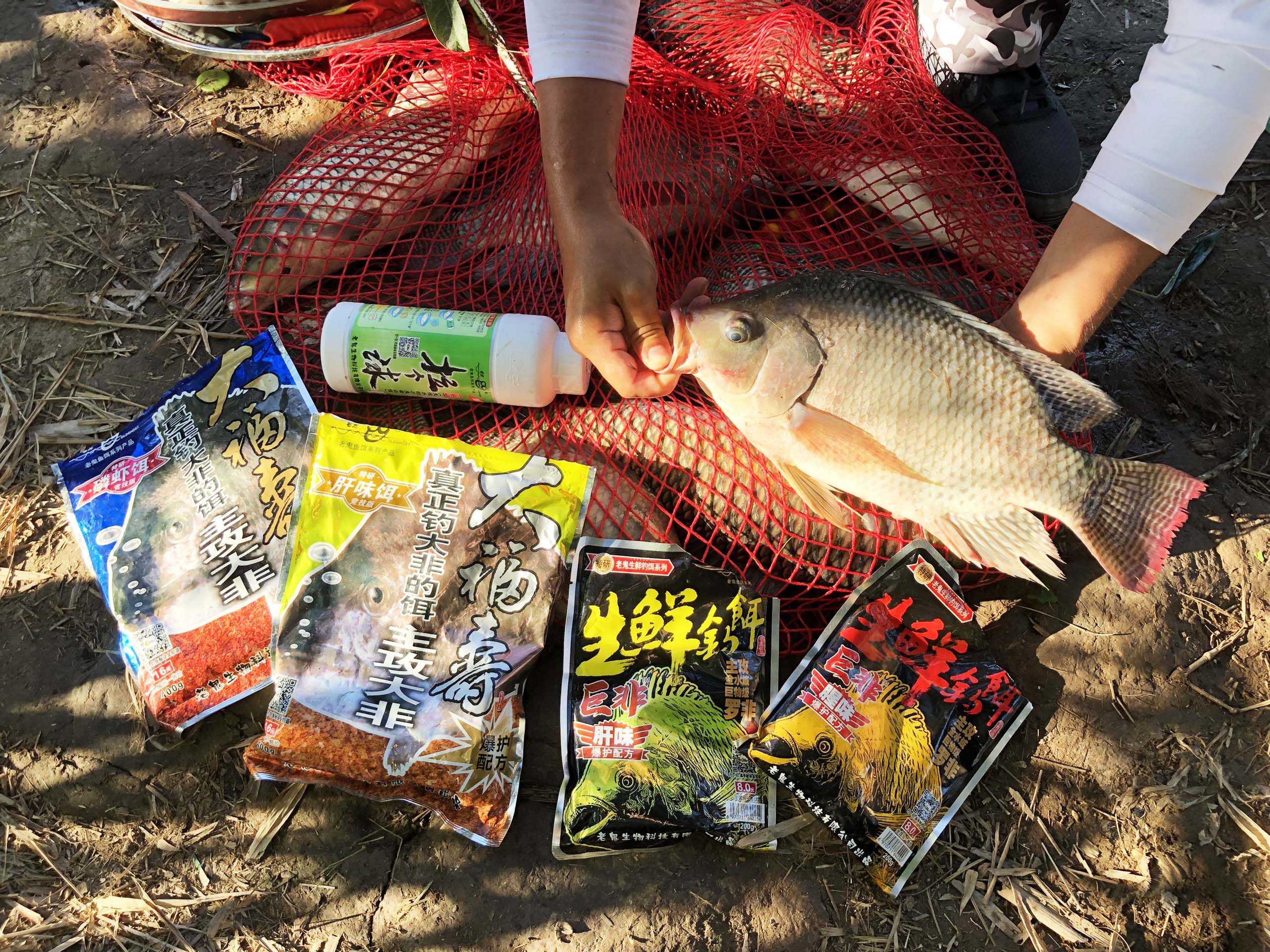 Mồi Câu Lão Quỷ - Đại Phi, TAG Fishing Việt Nam