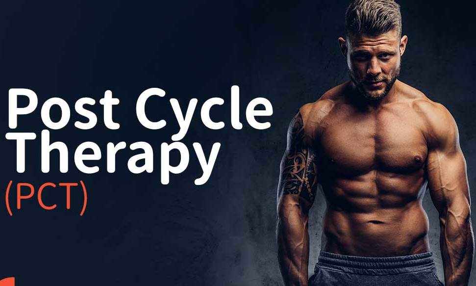 HCG Post Cycle Therapy (PCT)