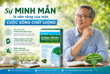 Vitaday Ginkgo Biloba – Đồng Hành Cùng Lối Sống Chủ Động Để Duy Trì Sự Minh Mẫn Mỗi Ngày