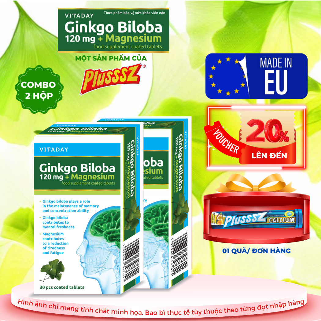 [COMBO 2 HỘP x 30 viên] Viên uống bổ não Vitaday Ginkgo Biloba 120mg + Magnesium - Nhập Khẩu chính hãng