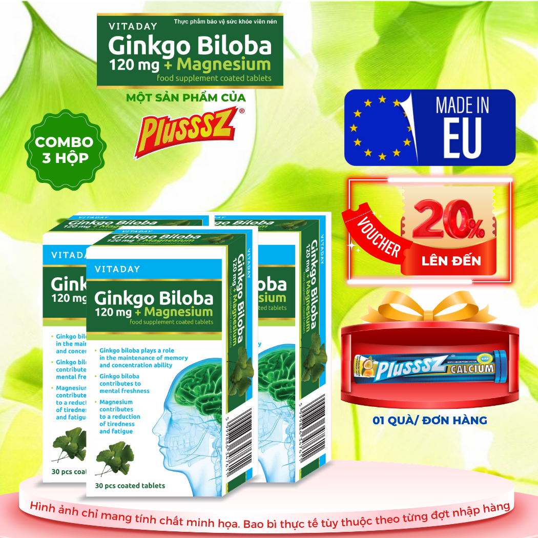 [COMBO 3 HỘP x 30 viên] Viên uống bổ não Vitaday Ginkgo Biloba 120mg + Magnesium - Nhập Khẩu chính hãng