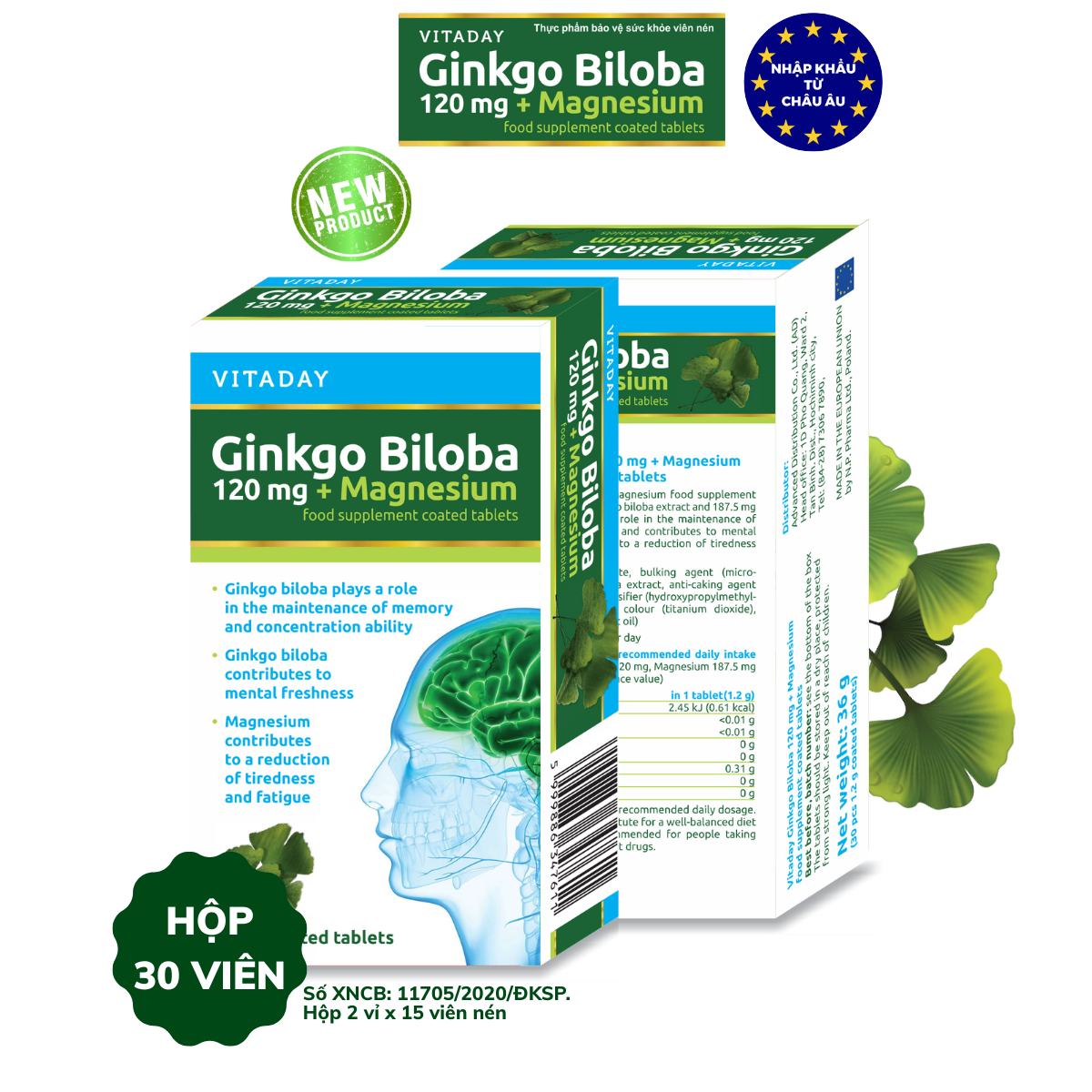 COMBO 3 HỘP x 30 viên Vitaday Ginkgo Biloba 120mg + Magnesium - HÀNG NHẬP KHẨU