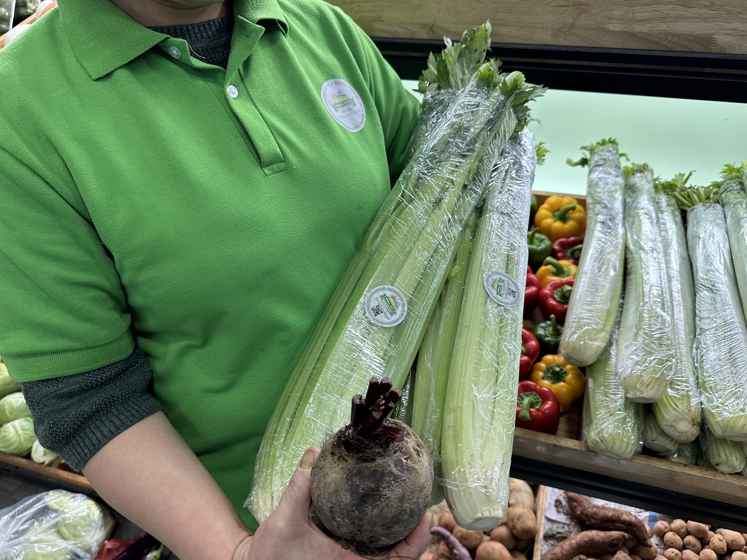 TẶNG CỦ DỀN 0.5 THEO 3kg CẦN TÂY