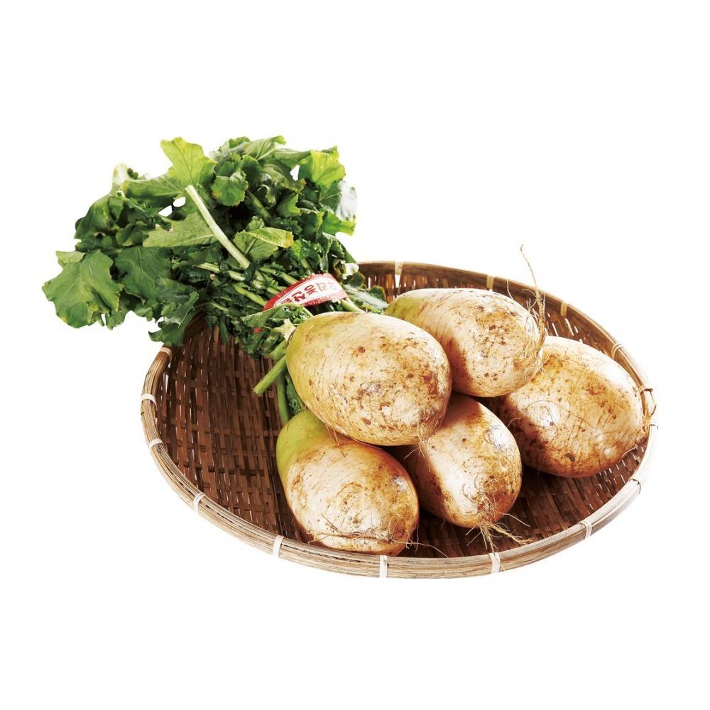 Củ cải Hàn Quốc