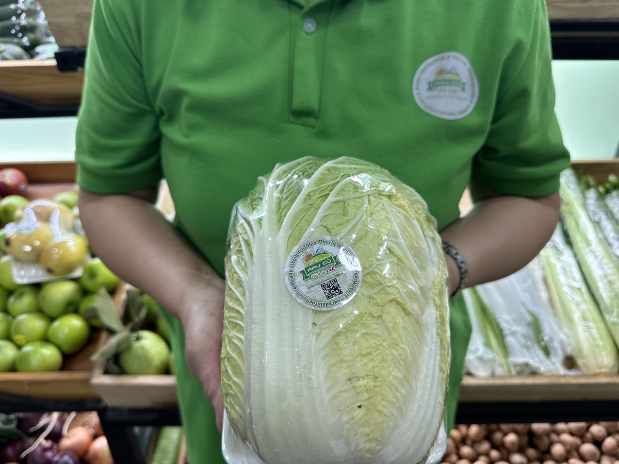 Cải Thảo Đà Lạt