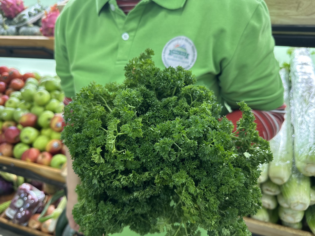 Mùi Tây ( Parsley , Mùi Ý  )