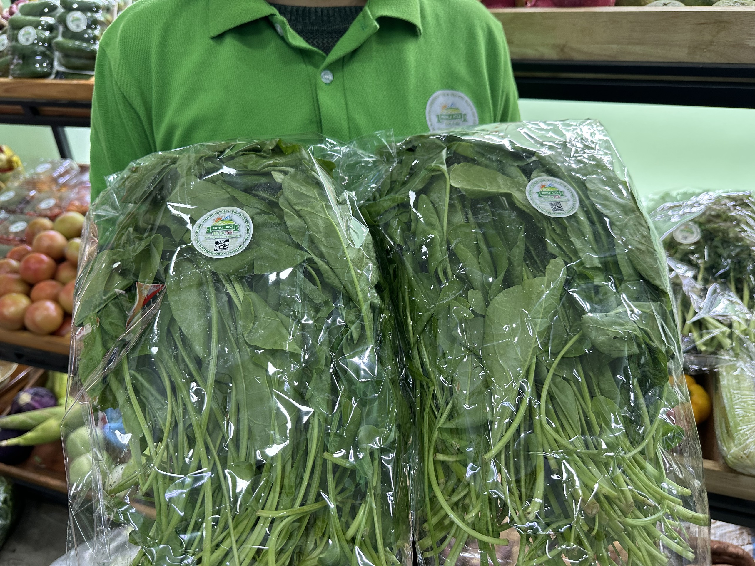 Cải bó xôi ( Rau chân vịt , Spinach , Bina )