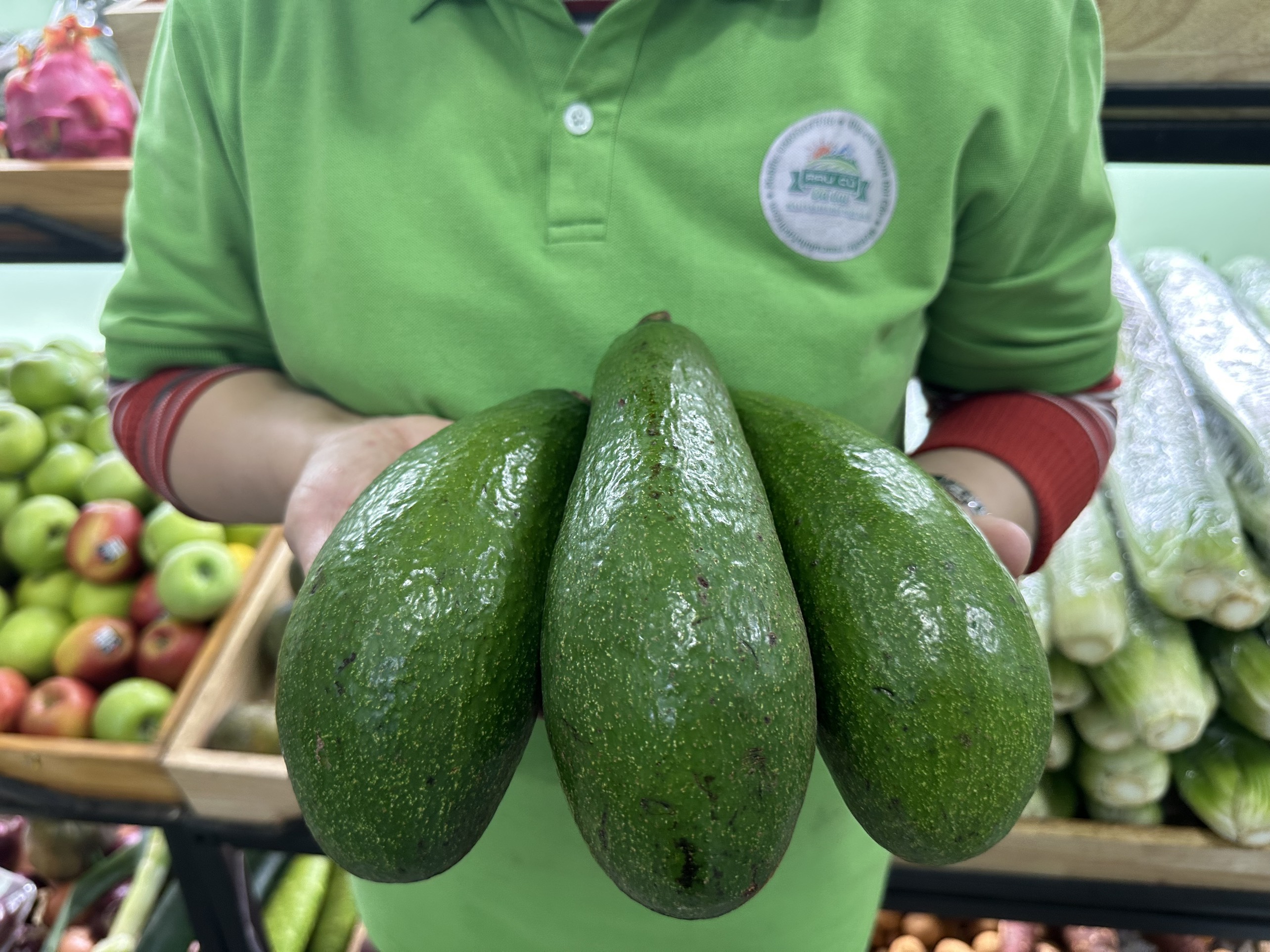 Bơ Sáp Lâm Đồng