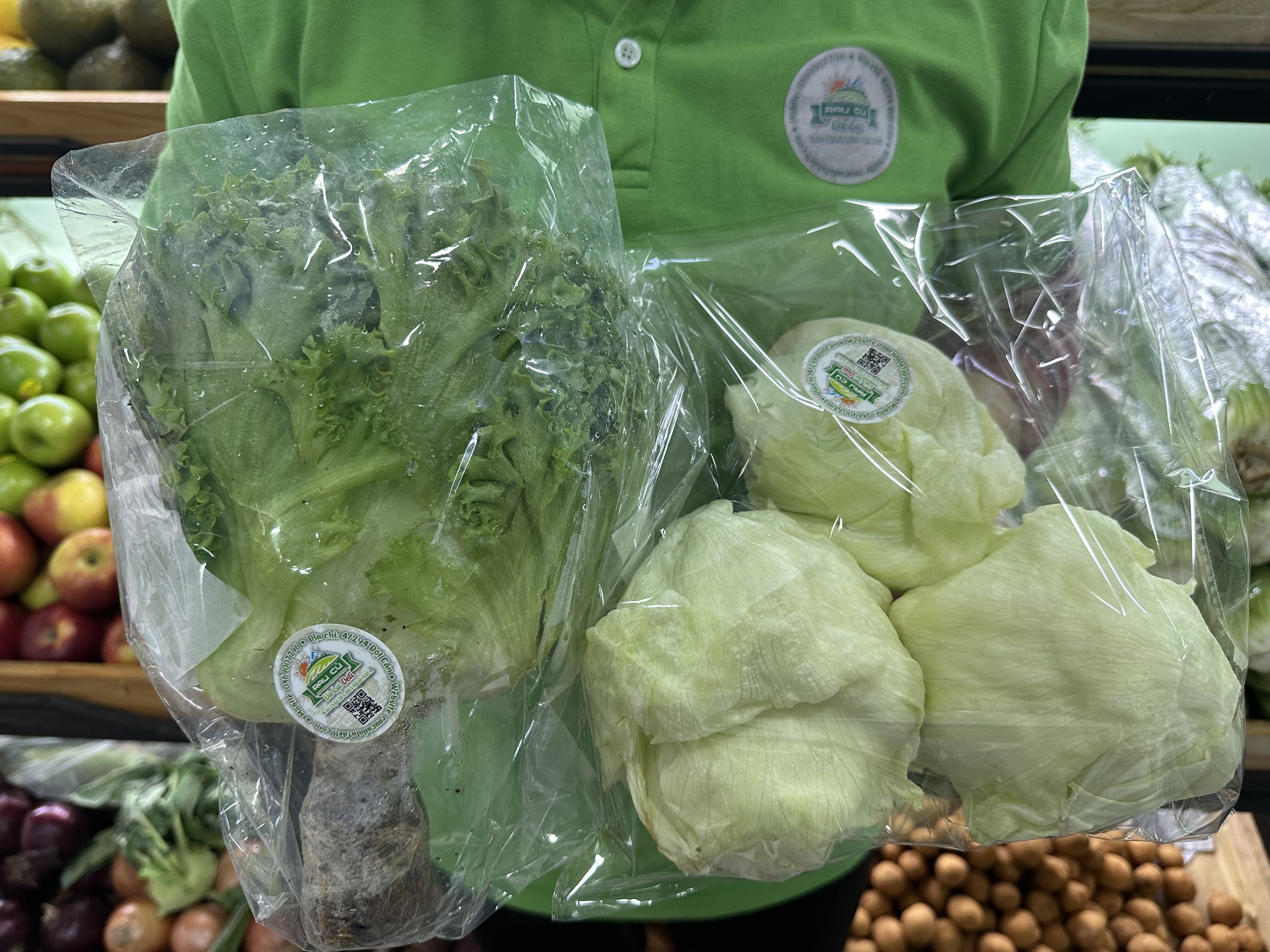 Xà lách Mỹ ( ICEBERG )