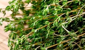 Lá Xạ Hương (Thym)