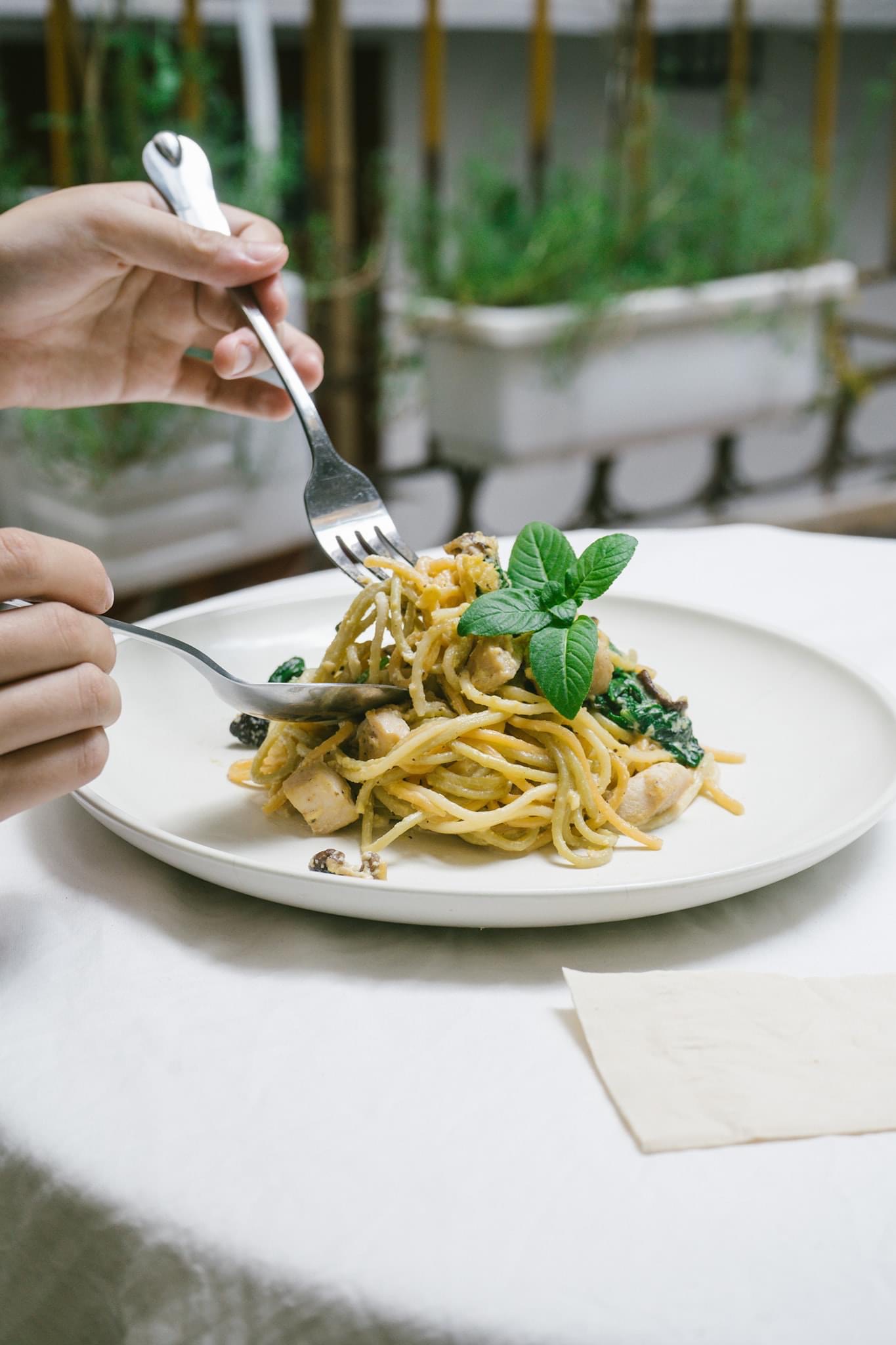 Creamy Mushroom Spaghetty