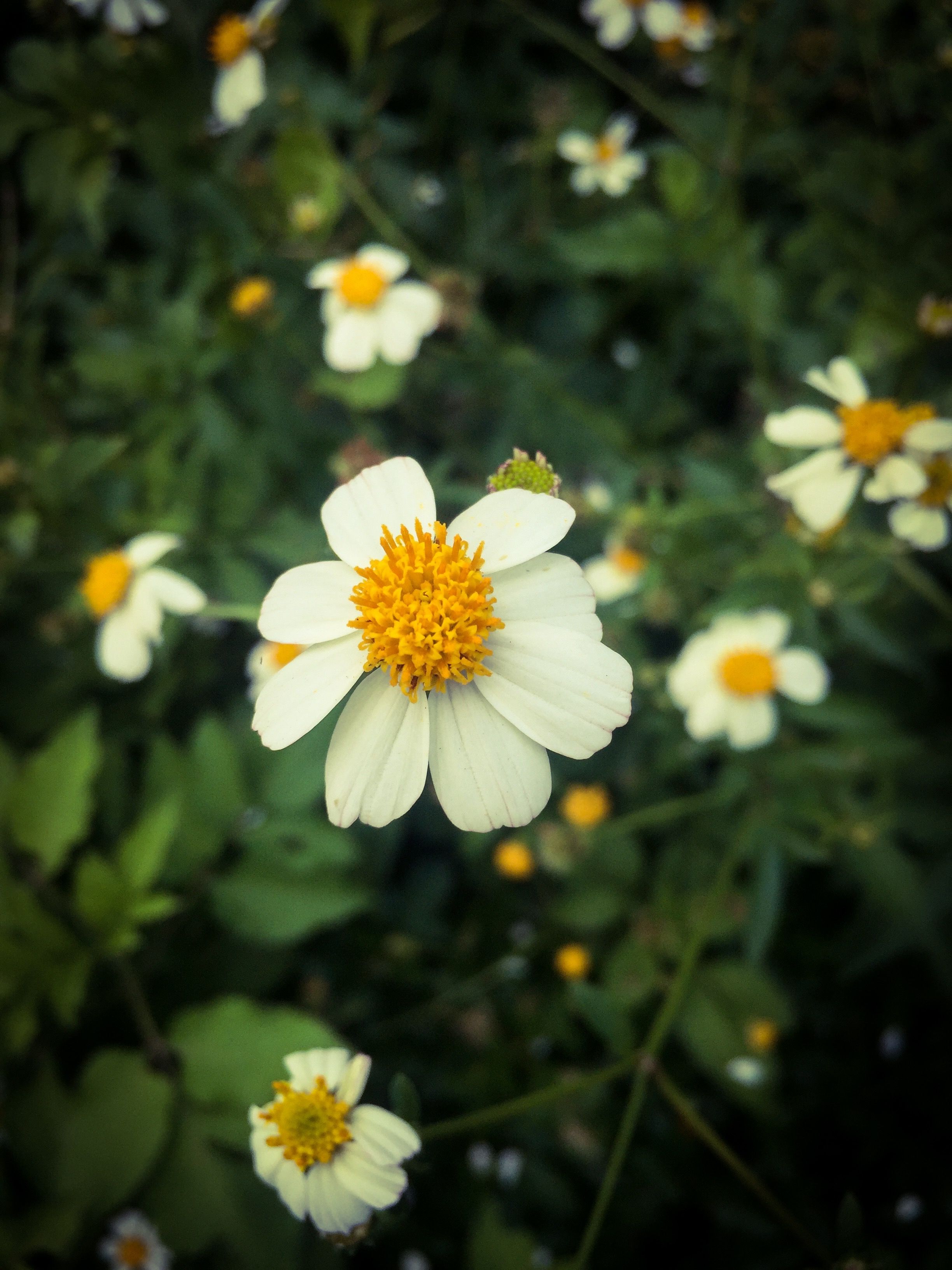 Nhà Minh Khôi Gia Dụng Nhật Hàn Chính Hãng