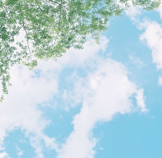 Nhà Minh Khôi Gia Dụng Nhật Hàn Chính Hãng