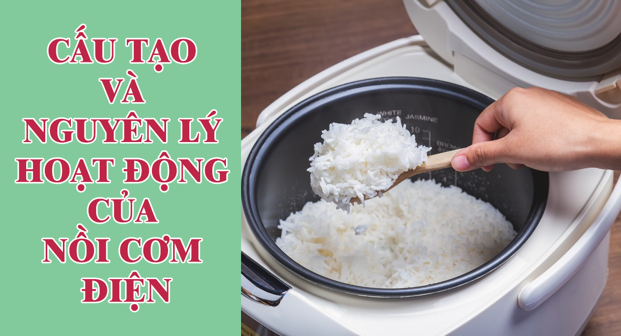 Tìm hiểu về cấu tạo và nguyên lý hoạt động của nồi cơm điện