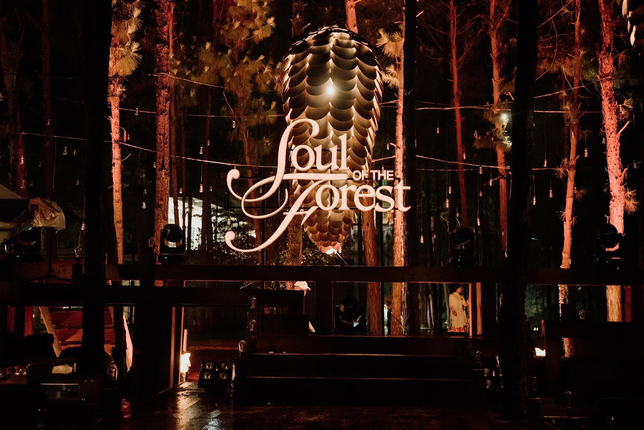 Soul of the Forest
