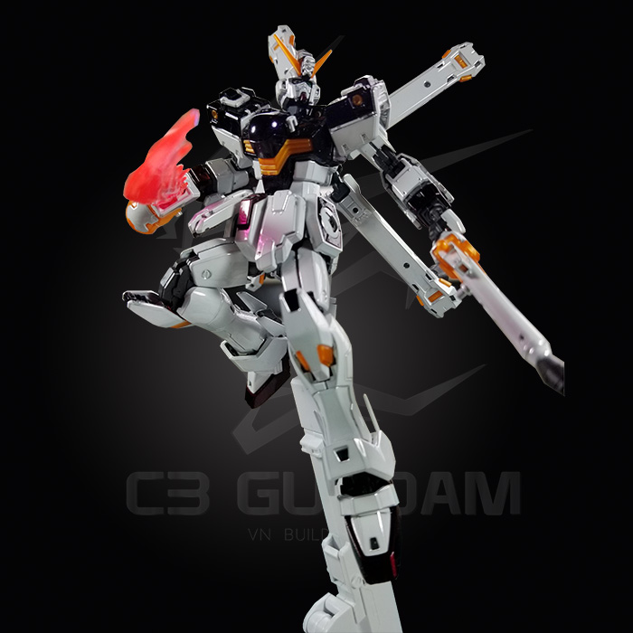 RG 1/144 CROSSBONE GUNDAM X1 [TITANIUM FINISH]