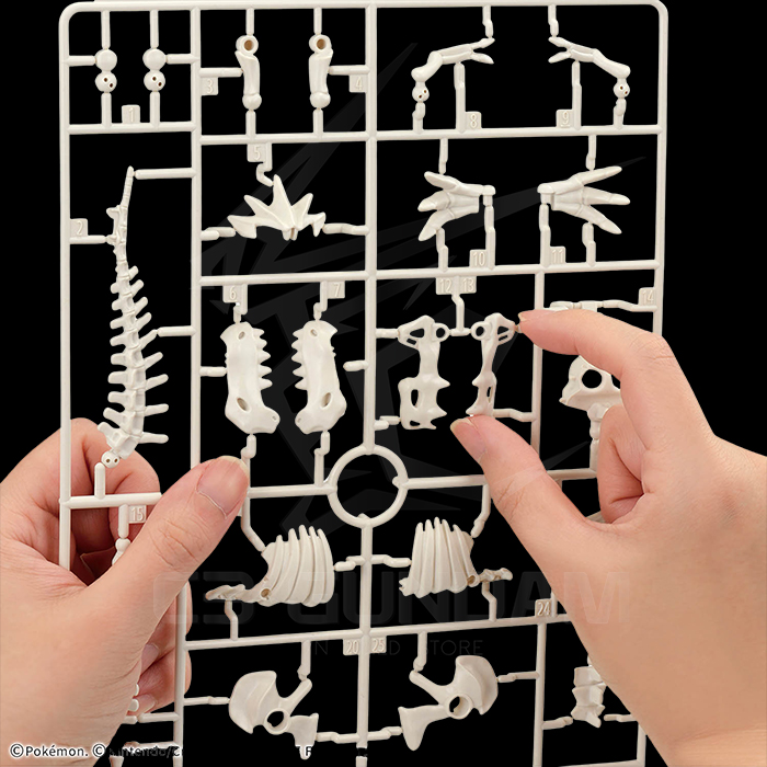 POKEMON PLASTIC MODEL COLLECTION FOSSIL Tyrantrum POKEMON PLAMO