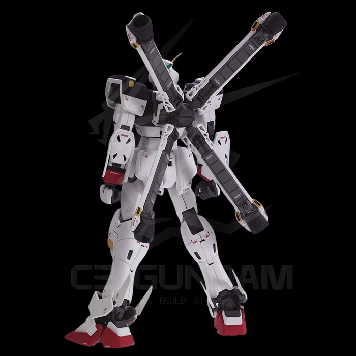 MG 1/100 XM-X1 Crossbone Gundam X-1 (Ver. Ka)