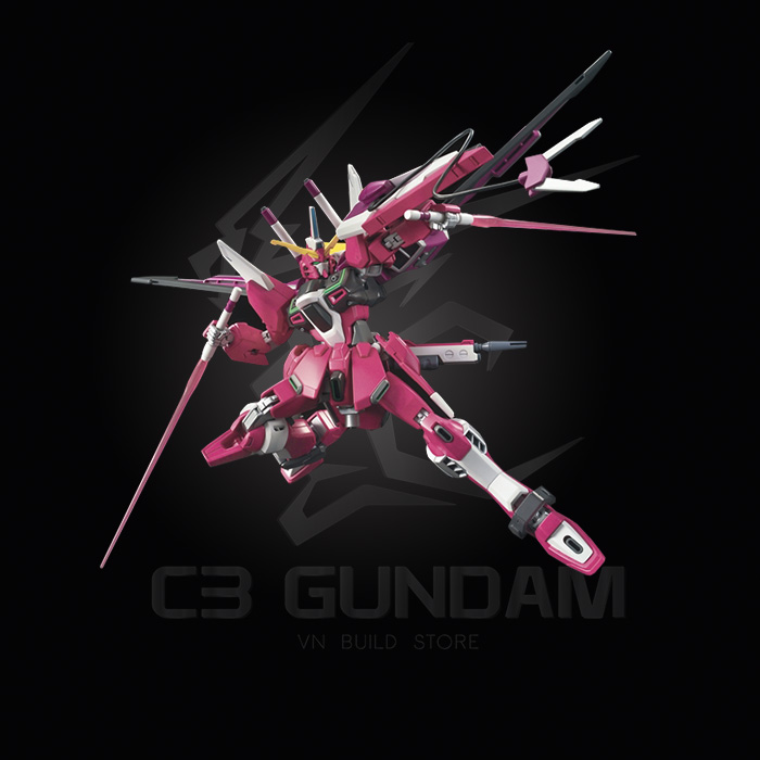 HGSEED 231 1/144 ZGMF-X19 INFINITE JUSTICE GUNDAM REVIVE