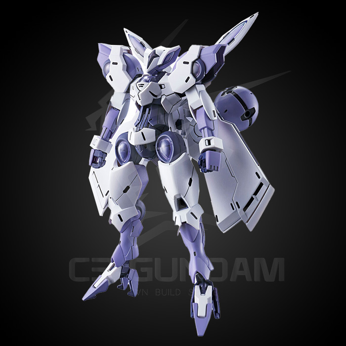 HGTWFM 002 1/144 BEGUIR-BEU