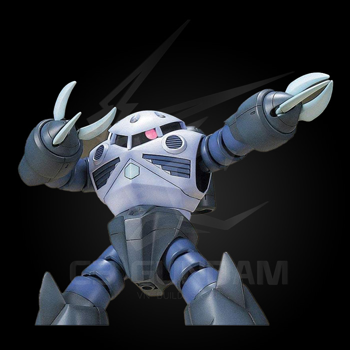 HGUC 006 1/144 MSM-07 Z’GOK