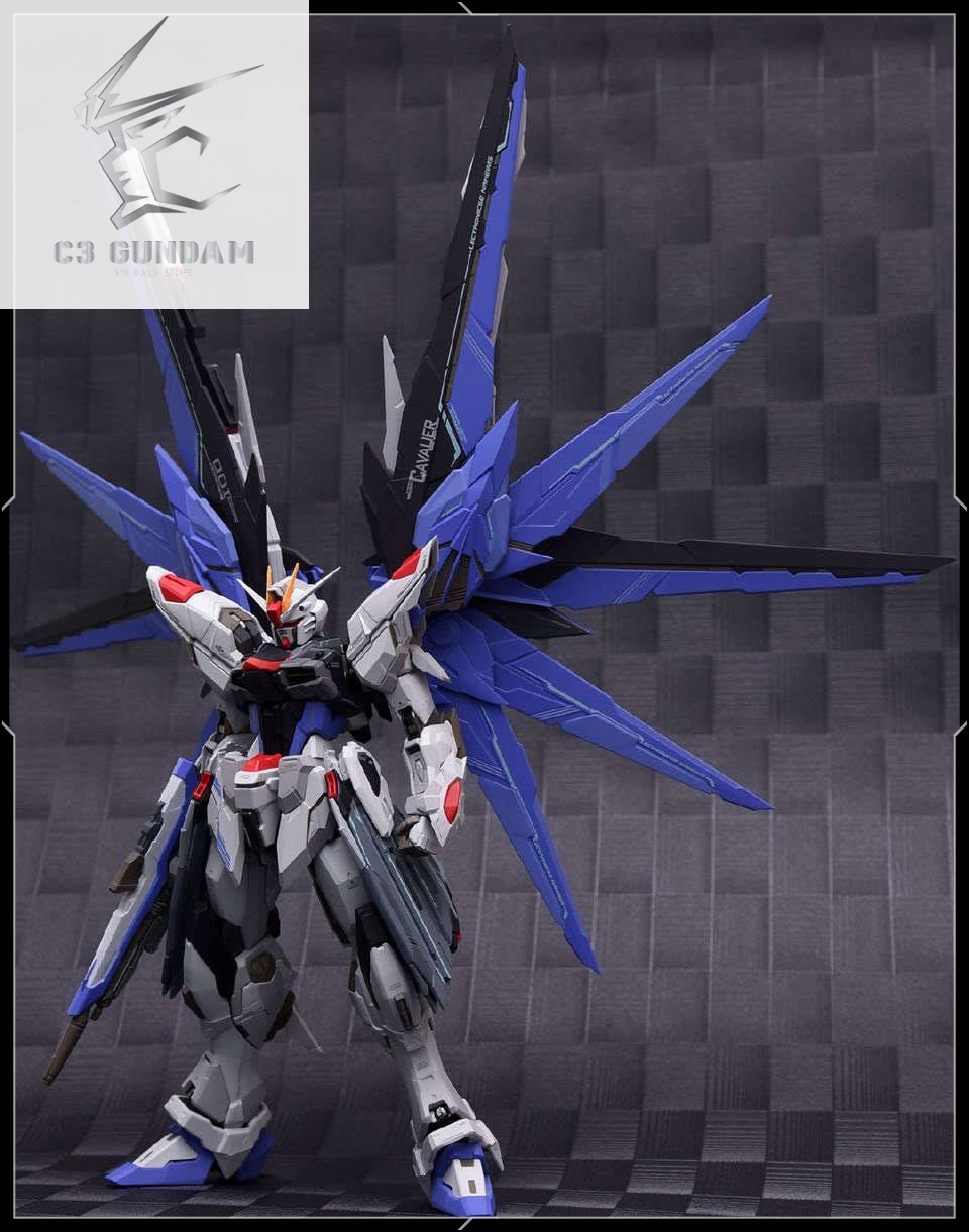METAL BUILD CHINA NONAME GUNDAM FREEDOM