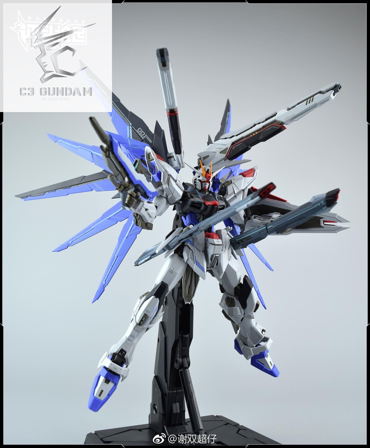 METAL BUILD CHINA NONAME GUNDAM FREEDOM