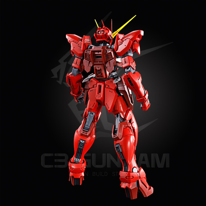 MG 1/100 RGX-00 TESTAMENT GUNDAM [P-BANDAI]