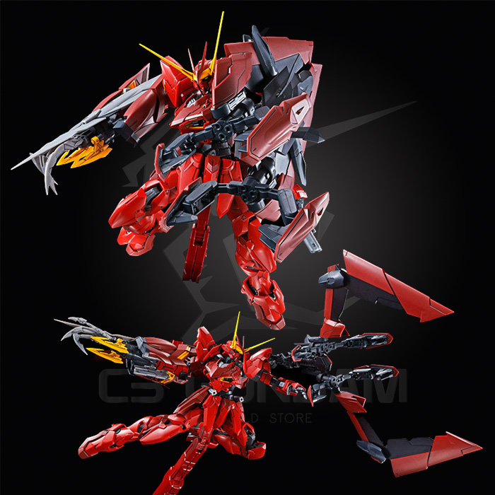 MG 1/100 RGX-00 TESTAMENT GUNDAM [P-BANDAI]