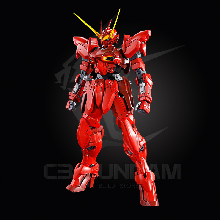 MG 1/100 RGX-00 TESTAMENT GUNDAM [P-BANDAI]