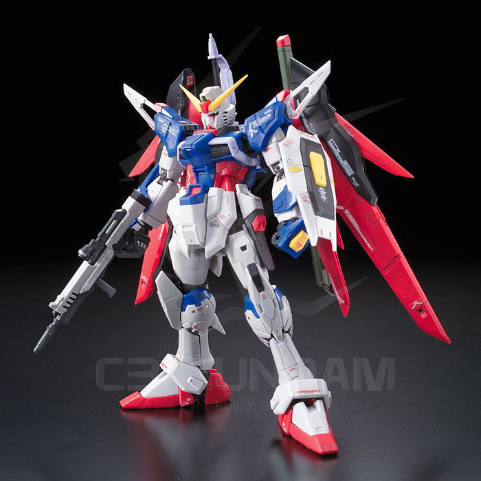 RG 11 1/144 DESTINY GUNDAM