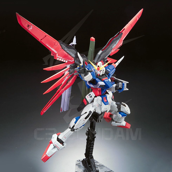 RG 11 1/144 DESTINY GUNDAM