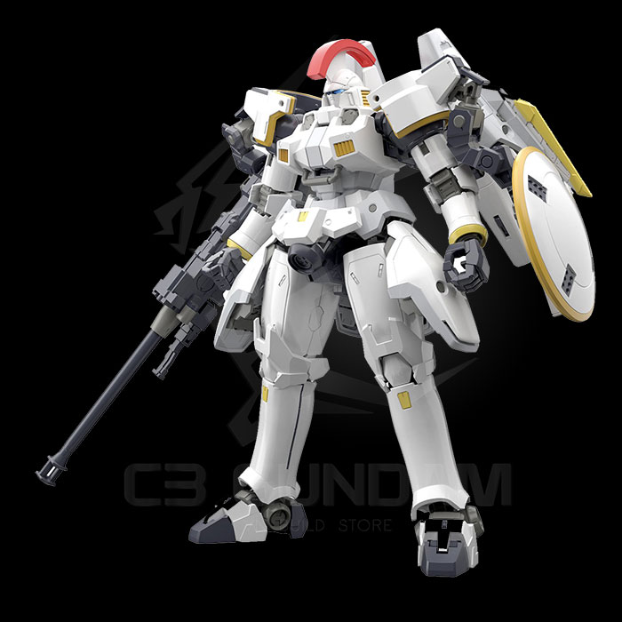 RG 28 1/144 TALLGEESE EW