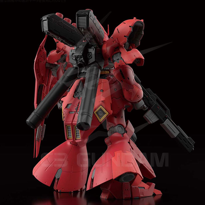 RG 29 1/144 SAZABI