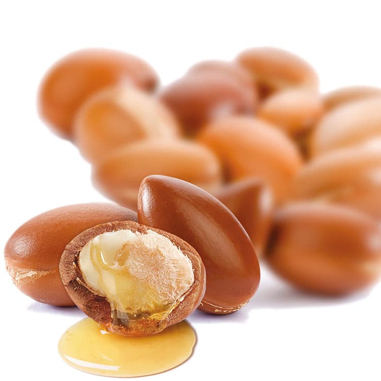 Argan oil, Argania spinosa ( Dầu argan) - Angel's Liquid Viet Nam