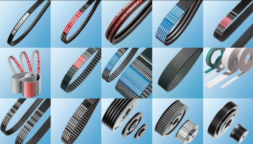 phân loại dây curoa, tìm hiểu các loại dây curoa thông dụng