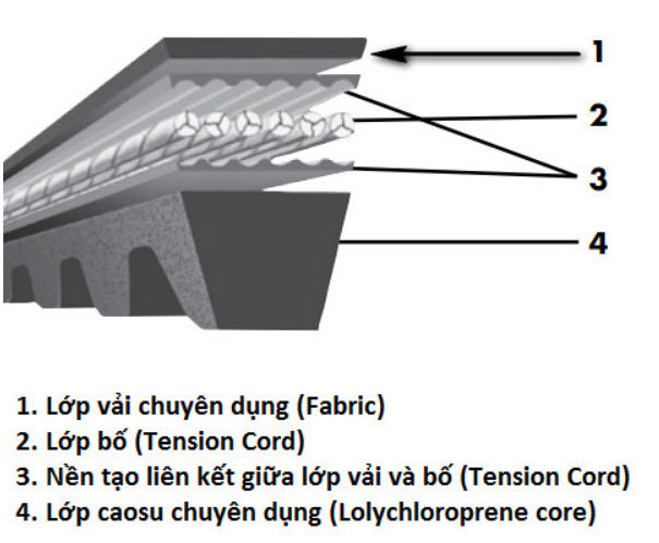 cấu tạo dây curoa, thành phần cấu tạo dây curoa