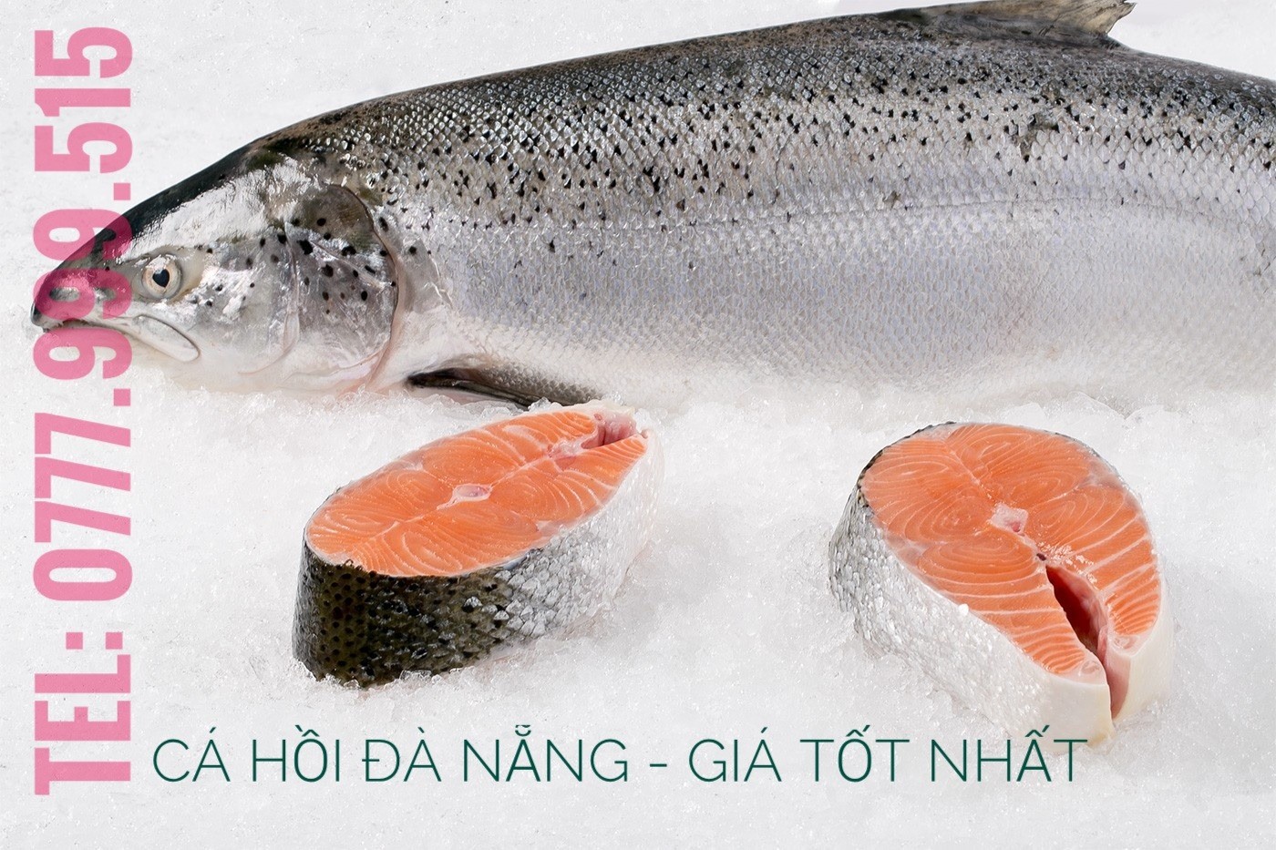 Cá hồi tại Toàn Farm